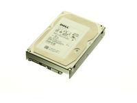 HD,300G,SAS,DU,15K,HIT,VIP-B