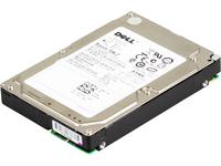 Harddrive 146G SAS6