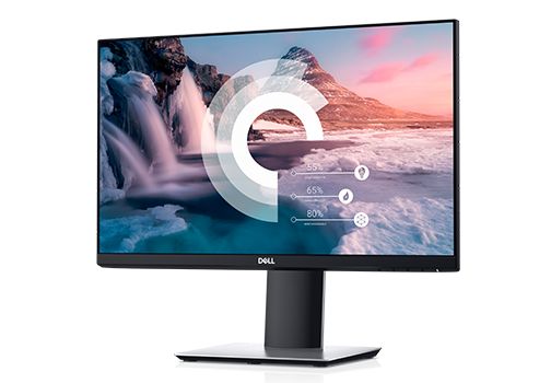 Dell 22" P2219H