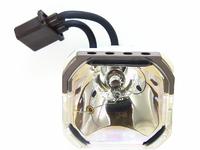Lamp for PG-C 20 XE