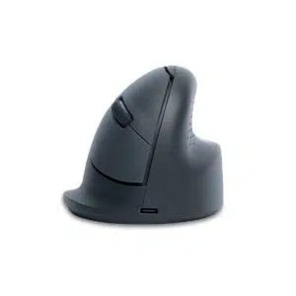 R-Go HE Ergonomic Basic Mouse (165-185mm), Right Handed, Wireless