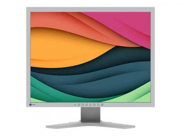 EIZO FlexScan S2134 21.3 1600 x 1200 DVI VGA (HD-15) DisplayPort 60Hz Pivot Skrm