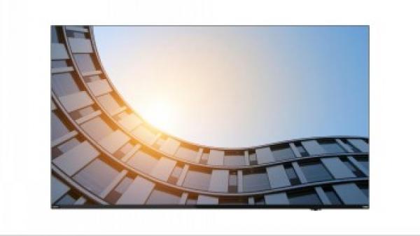 Lenovo ThinkVision E65 LFD - 65 Diagonaaliluokka (64.5 katseltava) LED-taustavalaistu LCD-näyttö - interaktiivinen - 4K UHD (2160p) 3840 x 2160 - HDR - Direct LED - musta