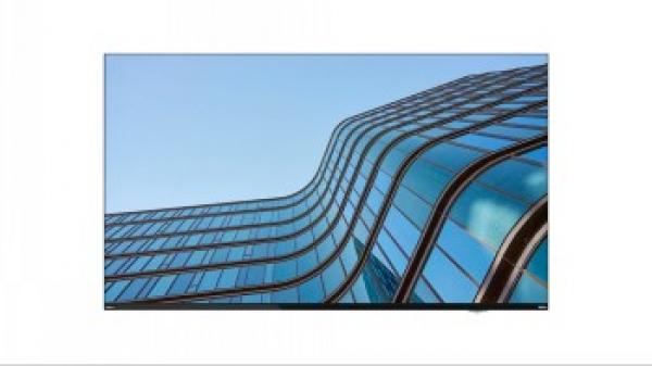 Lenovo ThinkVision E55 LFD - 55 Diagonaaliluokka (54.6 katseltava) LED-taustavalaistu LCD-näyttö - interaktiivinen - 4K UHD (2160p) 3840 x 2160 - HDR - Direct LED - musta