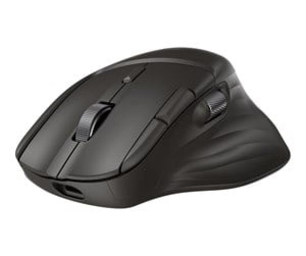 HP Ultra-Fast Scroll Wireless Mouse 785M