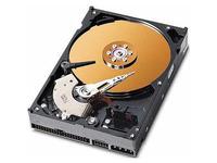 80GB 3,5" IDE133 7200RPM